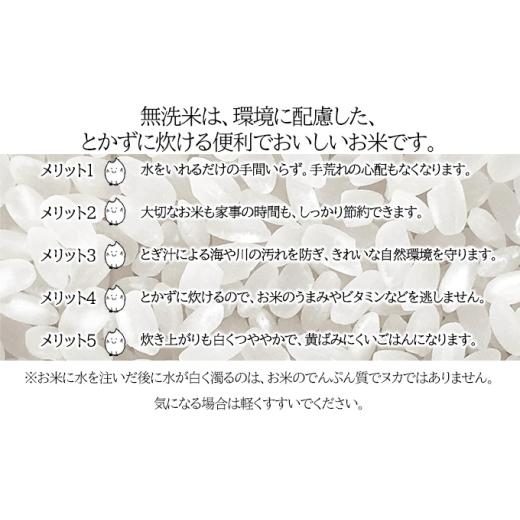 ふるさと納税 米 北海道 月形町  令和8年産先行予約 北海道 定期便 4ヵ月連続4回 令和8年産 ななつぼし 無洗米 5kg×1袋 特A 米 白米 ご飯 お米 ごはん 国産 …の画像