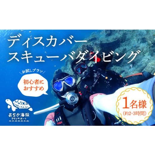 ふるさと納税 長崎県 小値賀町 [体験ダイビング]Discover Scuba Diving コース 1名様 [DBB001] 46000 46000円