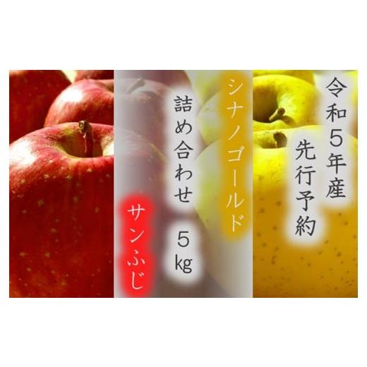 ふるさと納税 りんご 長野県 辰野町 167 サンふじ と シナノゴールドの詰め合わせ 5kg 双葉農園