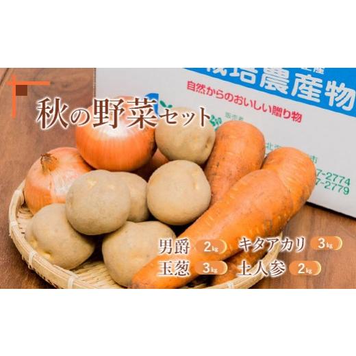 ふるさと納税 セット・詰合せ 北海道 恵庭市 先行予約 秋の野菜4品セット | 計10kg 全4種 男爵 土人参 各2kg キタアカリ 玉葱 各3kg 詰め合わせ じゃがいも …
