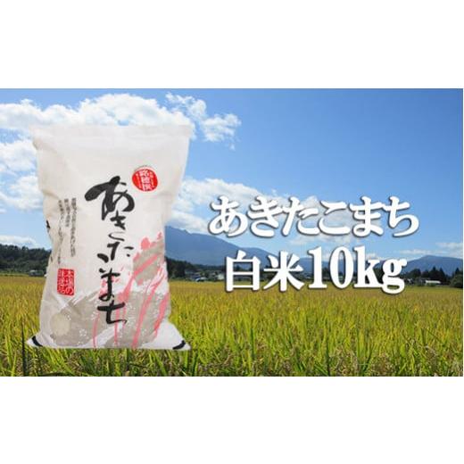 あきたこまち 10kg 岩手県産 米 精米 令和7年産 こめ ふるさと納税 