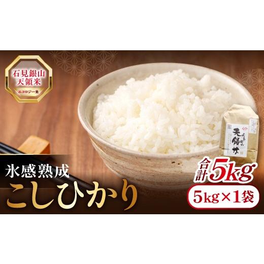 ふるさと納税 米 コシヒカリ 島根県 大田市 石見銀山天領米(氷感熟成エコロジー米こしひかり)5kg コシヒカリ 5kg 島根県産 大田市産 米 エコロジー米 氷感熟…