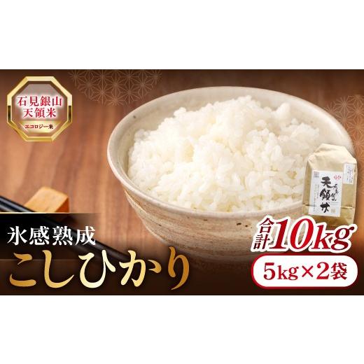 ふるさと納税 米 コシヒカリ 島根県 大田市 石見銀山天領米(氷感熟成エコロジー米こしひかり)10kg コシヒカリ 10kg こしひかり お米 精米 島根県産 大田市産…