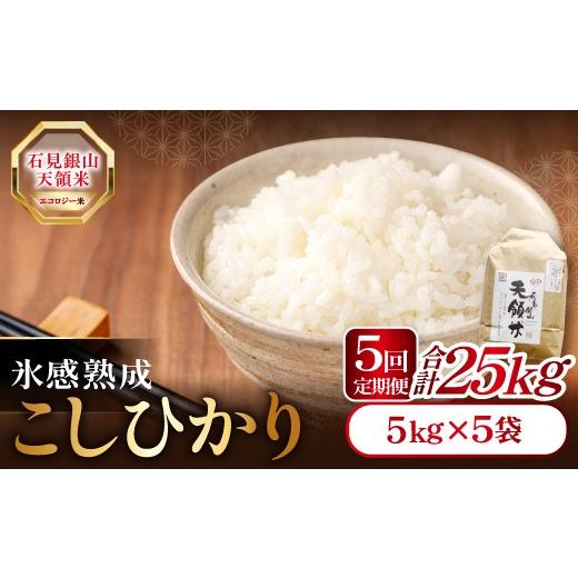 ふるさと納税 米 コシヒカリ 島根県 大田市 定期便 石見銀山天領米(5kg×5回お届け) 定期便 定期 5回 コシヒカリ 精米 5kg×5回 合計25kg 島根県産 大田市産 …
