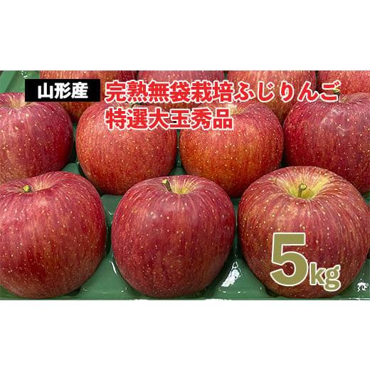 ふるさと納税 りんご 山形県 山形市 完熟無袋栽培ふじりんご 特選大玉秀品5kg入り 令和8年産先行予約 FS25-762