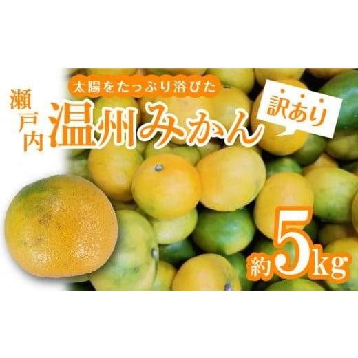 ふるさと納税 果物類 みかん 香川県 高松市 訳あり 太陽たっぷり浴びた 瀬戸内温州みかん 約5kg 2026年10月上旬〜2027年1月中旬配送