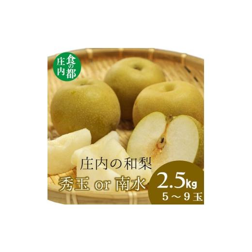 ふるさと納税 梨 山形県 三川町 食の都庄内 庄内の和梨 秀玉or南水 約2.5kg 9月中旬ごろより順次配送