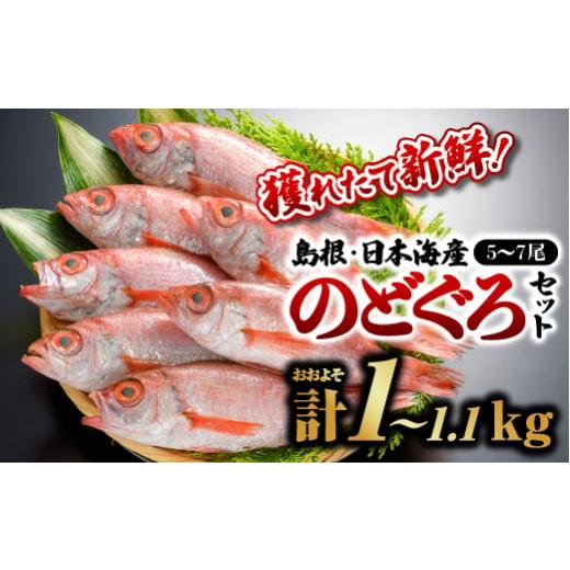 ふるさと納税 魚貝類 のどぐろ 島根県 江津市 鮮魚セットF のどぐろ5〜7尾(約1kg〜1.1kg) YM-6 |漁解禁 受付再開 送料無料 のどぐろ ノドグロ 魚 さかな 焼き…