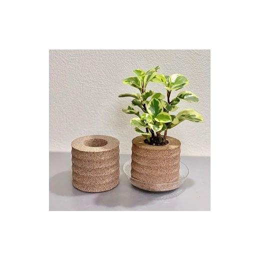 ふるさと納税 雑貨・日用品 愛知県 高浜市 アクアプラントポットHACHI「円(マト゛カ)」茶 茶