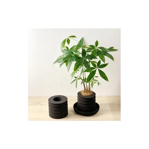ふるさと納税 雑貨・日用品 愛知県 高浜市 アクアプラントポットHACHI「円(マト゛カ)」黒 黒