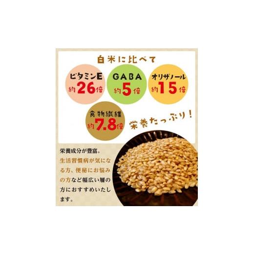 ふるさと納税 大阪府 松原市 金のいぶきプレミアム玄米ごはん120g×24個【災害 一人暮らし 備蓄 パックごはん パックご飯 ご飯パック パック米 パックライス …｜furusatochoice｜07