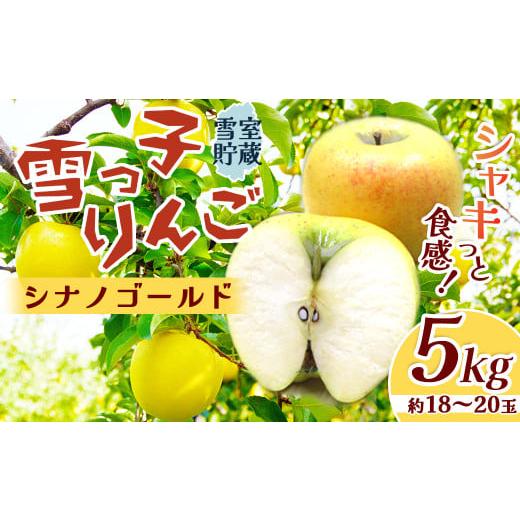 ふるさと納税 りんご 岩手県 北上市 数量限定 2026年 4月発送 予約受付 雪っ子 りんご シナノゴールド 5kg 数量限定 国産 リンゴ 林檎 果物 フルーツ 果実 贈…
