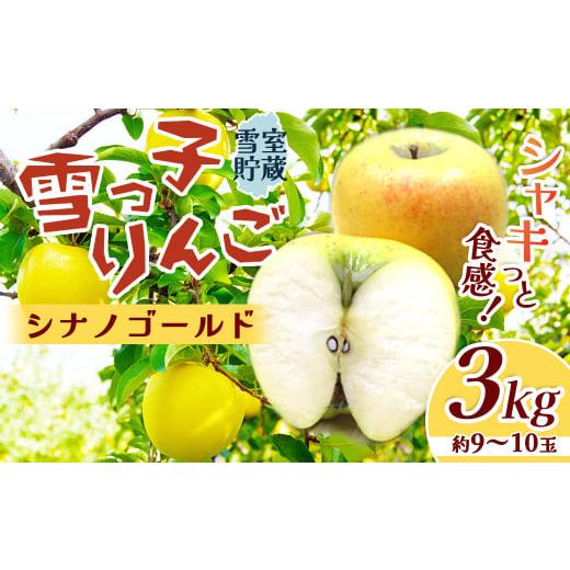 ふるさと納税 りんご 岩手県 北上市 数量限定 2026年 4月発送 予約受付 雪っ子 りんご 熟成 シナノゴールド 3kg 数量限定 リンゴ 林檎 果物 フルーツ 果実 贈…