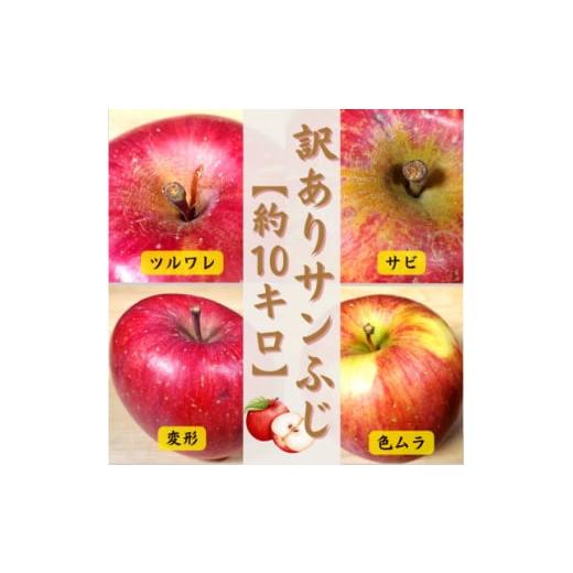 ふるさと納税 りんご 青森県 五戸町 青森ごのへ産 家庭用 りんご サンふじ 約10kg(訳アリ) 1122681