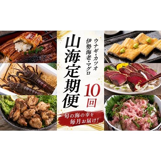 ふるさと納税 カツオ 高知県 室戸市 定期便10回 徳さん オススメ 山海の幸定期便 10ヶ月 鰹 カツオ まぐろ 鮪 ねぎとろ うなぎ 鰻 伊勢海老 伊勢エビ イセエビ…_1