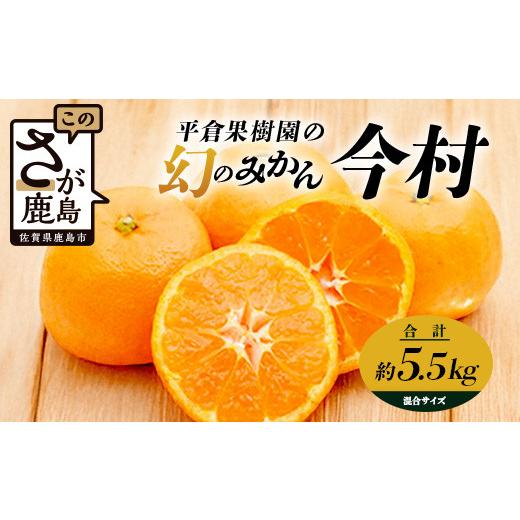 ふるさと納税 果物類 みかん 佐賀県 鹿島市 先行受付 《2027年2月頃お