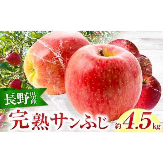 ふるさと納税 りんご 長野県 伊那市 りんご 完熟 サンふじ 約4.5kg (りんご・リンゴ・林檎) 白鳥フルーツ農園 | りんご 林檎 完熟 果物 フルーツ 伊那市 長…