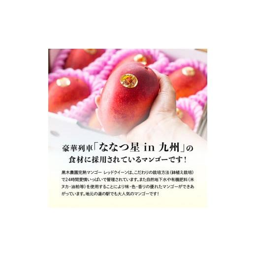 ふるさと納税 自治体にお任せ 宮崎県 川南町  令和8年発送 宮崎県産完熟マンゴー　「レッドクイーン」3L×2玉 果物 フルーツ マンゴー 宮崎県産 完熟マンゴー … |  | 02