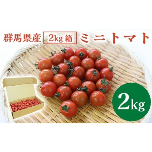 ふるさと納税 トマト ミニトマト 群馬県 みどり市 ミニトマト2kg箱