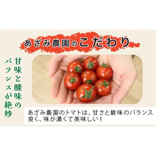 ふるさと納税 トマト ミニトマト 群馬県 みどり市 ミニトマト2kg箱