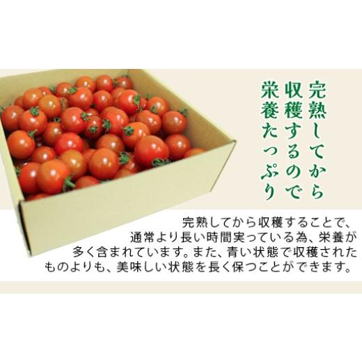 ふるさと納税 トマト ミニトマト 群馬県 みどり市 ミニトマト2kg箱