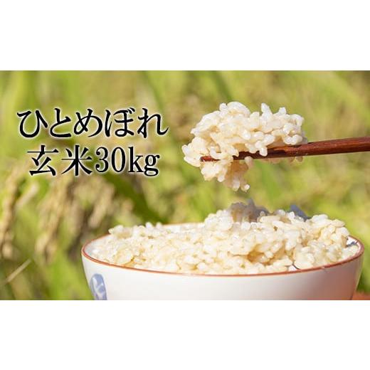 ふるさと納税 米 ひとめぼれ 岩手県 八幡平市 令和7年産 新米 10月中旬発送開始予定 ひとめぼれ 玄米 30kg (10kg×3袋) / かきのうえ こめ 米 コメ お米 …