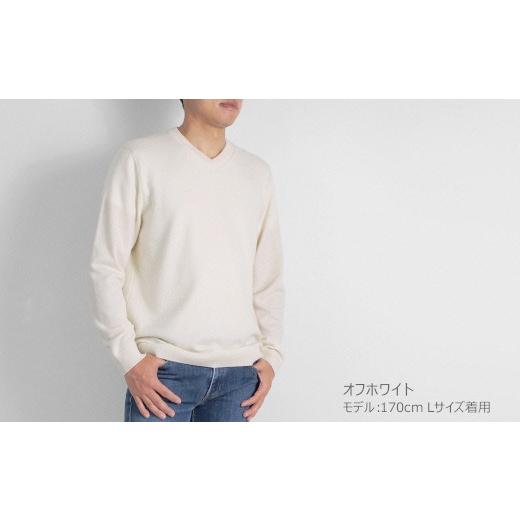ふるさと納税 服 男 新潟県 五泉市 Vネックセーター カシミヤ 100% ( オフホワイト・LL ) メンズ 日本製 | ニット Vネック 薄手 無地 シンプル 長袖 秋冬 冬 …