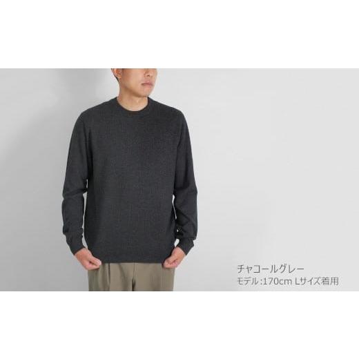 ふるさと納税 服 男 新潟県 五泉市 クルーネック セーター カシミヤ 100% ( チャコールグレー・L ) メンズ 日本製 | ニット クルーネックセーター 薄手 無地 …