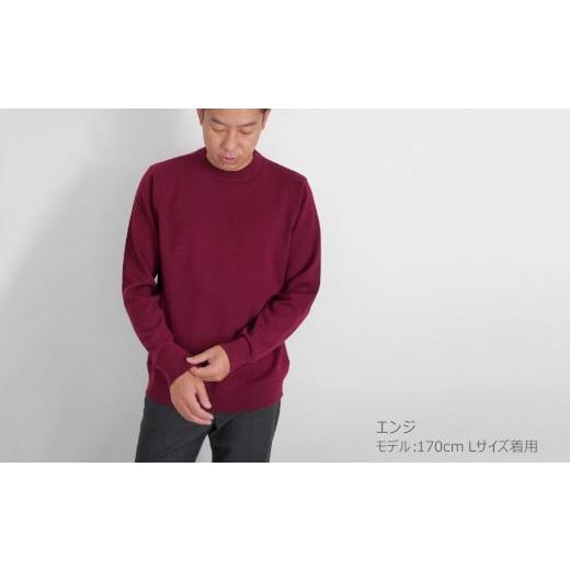 ふるさと納税 服 男 新潟県 五泉市 クルーネック セーター カシミヤ 100% ( エンジ・L ) メンズ 日本製 | ニット クルーネックセーター 薄手 無地 シンプル 長…