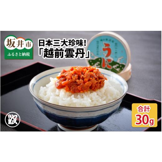 ふるさと納税 ウニ 福井県 坂井市 日本三大珍味 坂井市三国産 越前雲丹 30g うに 塩うに 塩雲丹 汐うに 汐雲丹 しおうに 酒の肴 お取り寄せ おつまみ ご飯に合…
