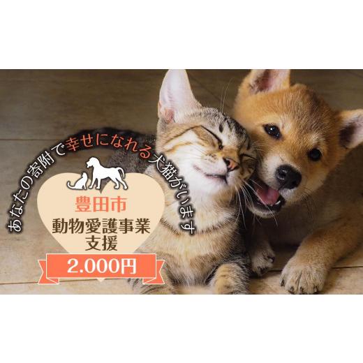 ふるさと納税 生き物 愛知県 豊田市 お礼の品なし 豊田市動物愛護事業 | 動物愛護 動物福祉 動物愛護センター 保護猫 保護犬 豊田市動物愛護センター 愛知県 …