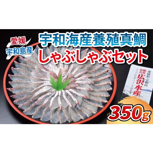 ふるさと納税 愛媛県 宇和島市 真鯛 しゃぶしゃぶ セット 切り身 350g ポン酢 80ml エビス 真鯛 鯛 マダイ タイ 鍋 鯛しゃぶ 養殖 海鮮 海の幸 魚 魚介加工品 …｜furusatochoice｜02