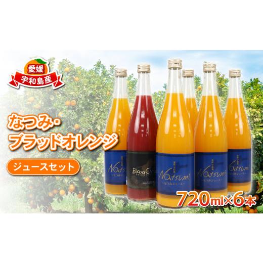 ふるさと納税 果汁飲料 みかん 愛媛県 宇和島市 みかんジュース 果汁100% ストレート ジュース なつみ ブラッドオレンジ セット 720ml ×6本 えひめ南農業協同…