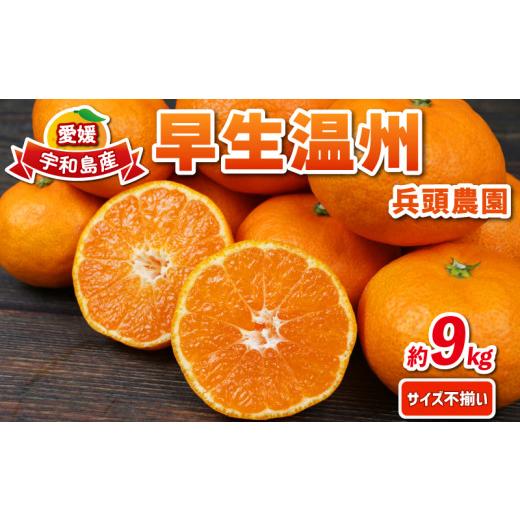 ふるさと納税 果物類 みかん 愛媛県 宇和島市 早生みかん 早生温州 9kg サイズ不揃い 兵頭農園 先行予約 みかん mikan 愛媛みかん 愛媛蜜柑 早生 温州 温州み…