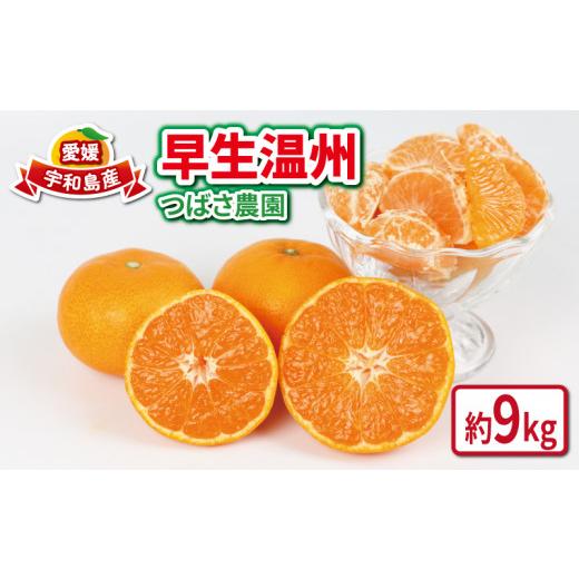 ふるさと納税 果物類 みかん 愛媛県 宇和島市 愛媛みかん 先行予約 9kg 早生温州 家庭用 つばさ農園 先行予約 家庭用 温州みかん 早生 温州 蜜柑 mikan 愛媛蜜…