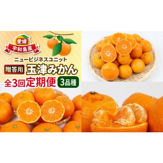 ふるさと納税 果物類 みかん 愛媛県 宇和島市 柑橘 定期便 3回 みかん定期便 贈答用 優品 早生温州 南柑20号 各10kg ポンカン 9kg サイズ不揃い 玉津みかん ニ…