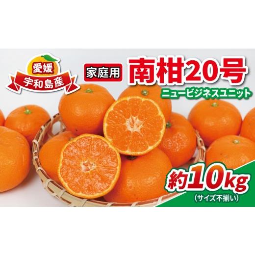 ふるさと納税 果物類 みかん 愛媛県 宇和島市 みかん 10kg 南柑20号 家庭用 サイズ不揃い 玉津みかん ニュービジネスユニット 先行予約 温州 温州みかん 果物 …