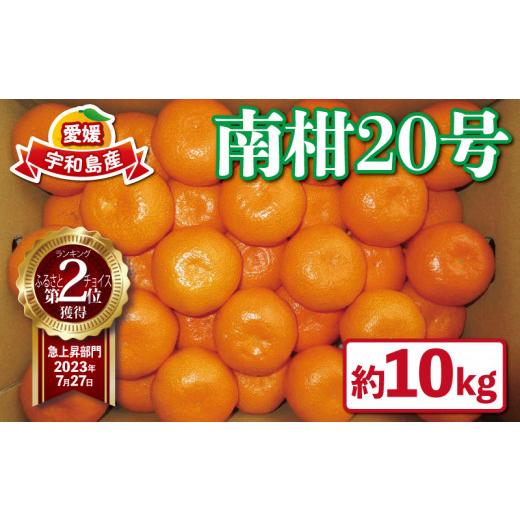 ふるさと納税 果物類 みかん 愛媛県 宇和島市 愛媛みかん 南柑20号 10kg 甘い 美味しい ワールドファーマーズ 先行予約 温州 みかん うんしゅう 温州みかん 愛…