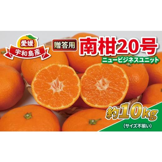 ふるさと納税 果物類 みかん 愛媛県 宇和島市 みかん 10kg 贈答用 優品 愛媛 南柑20号 サイズ不揃い 玉津みかん ニュービジネスユニット 先行予約 温州 温州み…