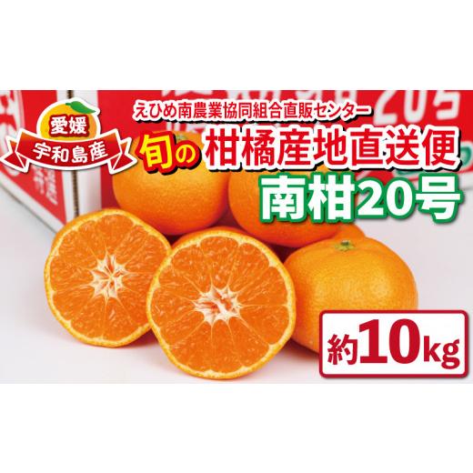 ふるさと納税 果物類 みかん 愛媛県 宇和島市 12月上旬〜中旬発送予定 愛媛 みかん 優品 南柑20号 10kg 先行予約 えひめ南農業協同組合直販センター JA 温州…
