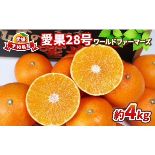 ふるさと納税 果物類 みかん 愛媛県 宇和島市 12/1~12/20発送予定 愛果28号 4kg ワールドファーマーズ 先行予約 愛媛蜜柑 愛媛ミカン 愛媛みかん 高級みか…