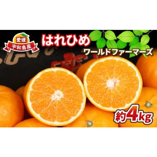 ふるさと納税 みかん・柑橘類 愛媛県 宇和島市 12月中旬〜発送予定 みかん はれひめ 4kg ワールドファーマーズ 瀬戸の晴れ姫 晴姫 蜜柑 吉田みかん 愛媛みか…