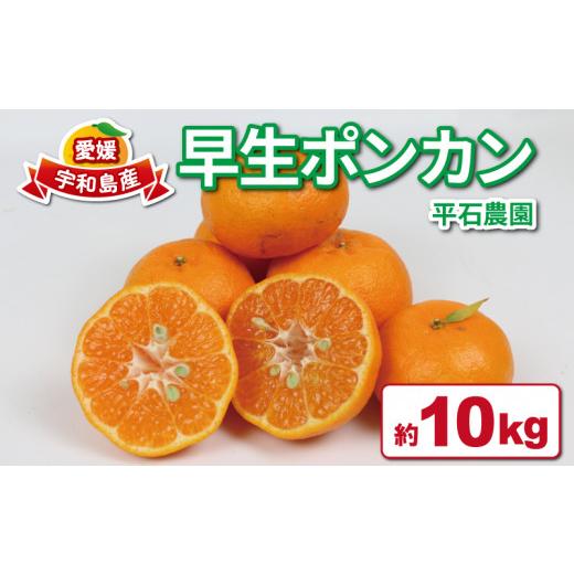 ふるさと納税 みかん・柑橘類 愛媛県 宇和島市 愛媛みかん 早生 ポンカン 10kg 平石農園 太田ポンカン 早生ポンカン ぽんかん みかん mikan 愛媛ミカン 愛媛蜜…