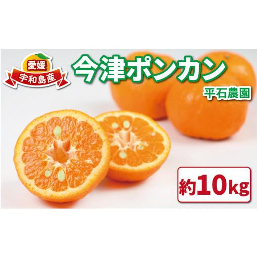 ふるさと納税 果物類 みかん 愛媛県 宇和島市 ポンカン 10kg 家庭用 サイズ 不揃い 平石農園 愛媛みかん みかん mikan 愛媛ミカン 愛媛蜜柑 ぽんかん 果物 く…