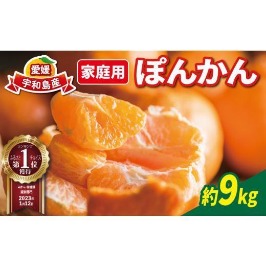ふるさと納税 果物類 みかん 愛媛県 宇和島市 1月中旬〜2月下旬発送予定 みかん ぽんかん 家庭用 9kg 玉津柑橘倶楽部 先行予約 愛媛みかん 愛媛蜜柑 愛媛ミカ…