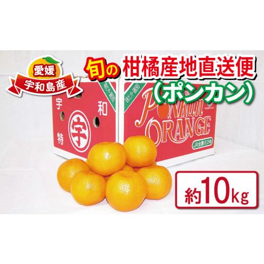 ふるさと納税 みかん・柑橘類 愛媛県 宇和島市 ポンカン 愛媛みかん 秀品 10kg えひめ南農業協同組合直販センター 先行予約 JA 愛媛 宇和島
