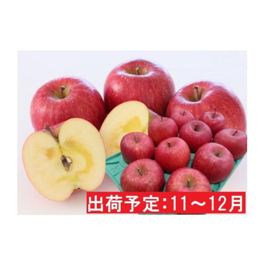 ふるさと納税 りんご 青森県 弘前市 りんご 11月 〜 12月発送 贈答規格 蜜入り EM サンふじ 約 3kg 糖度 13度以上 弘前市産 青森りんご リンゴ 果物 青森 弘前&hellip;