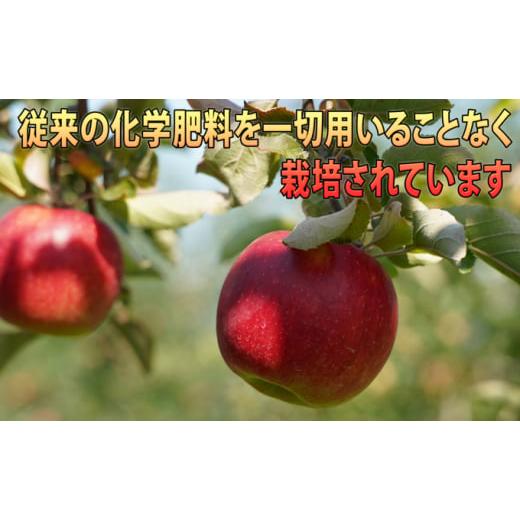 ふるさと納税 りんご 青森県 弘前市 りんご 11月 〜 12月発送 贈答規格 蜜入り EM サンふじ 約 3kg 糖度 13度以上 弘前市産 青森りんご リンゴ 果物 青森 弘前&hellip;