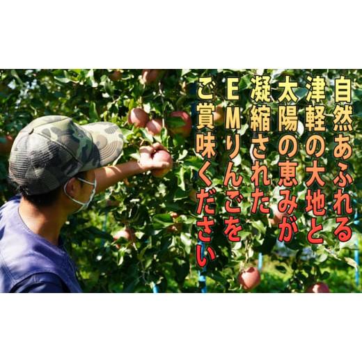 ふるさと納税 りんご 青森県 弘前市 りんご 11月 〜 12月発送 贈答規格 蜜入り EM サンふじ 約 3kg 糖度 13度以上 弘前市産 青森りんご リンゴ 果物 青森 弘前&hellip;