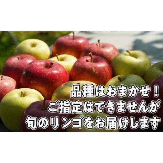 ふるさと納税 青森県 弘前市 1〜3月発送【家庭用】旬のリンゴ詰め合わせ 約5kg糖度13度以上【弘前市産・青森りんご】｜furusatochoice｜03